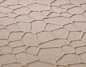 carpetsign-surfaces-cellular.jpg