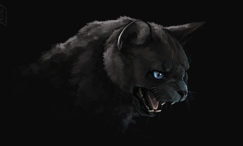 black-cat-cat-glitter-f9a3cd50