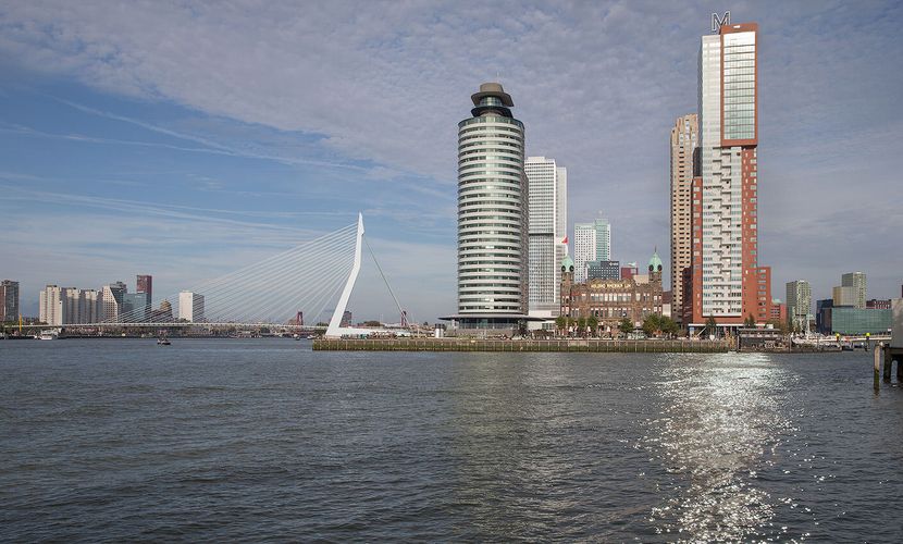 Erasmus Bridge by Ben van Berkel & Caroline Bos Architects @ Rotterdam photo by Bekker Thomas-0001